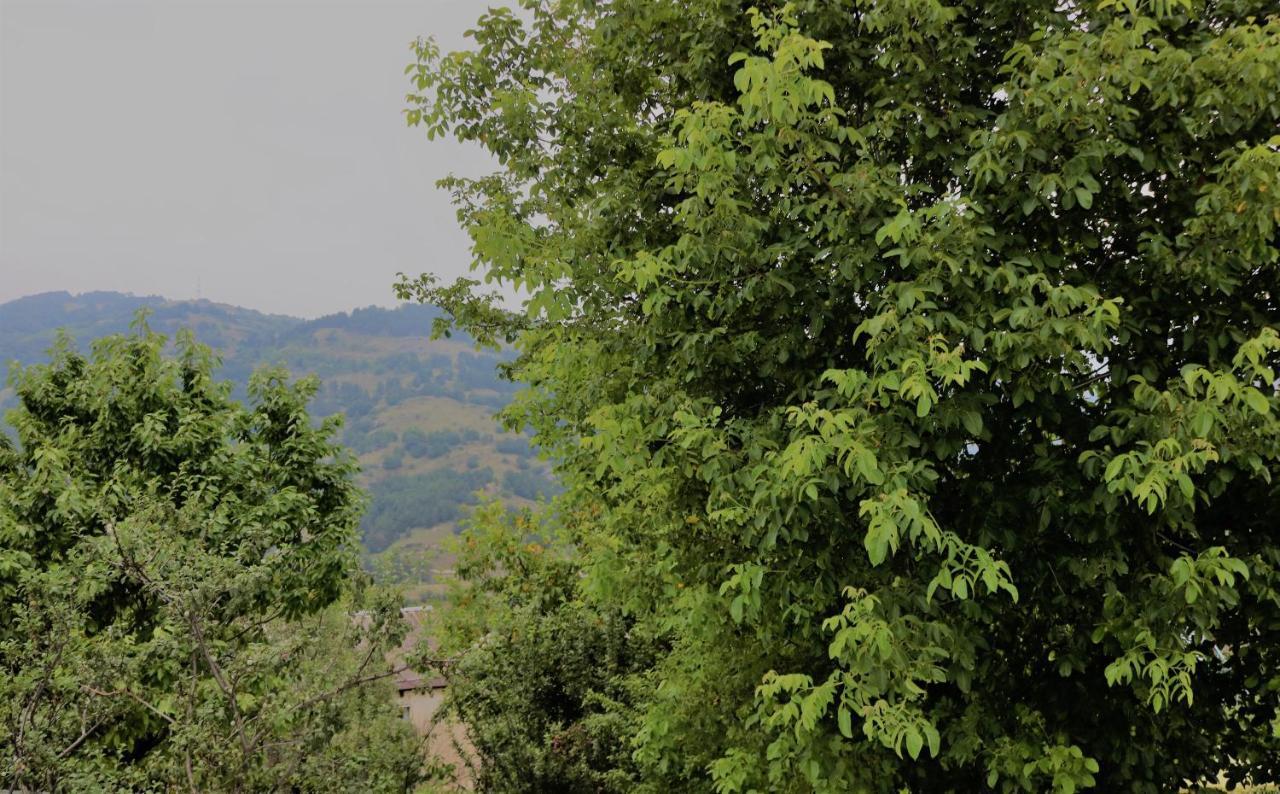 Villa Dilijan Family House Extérieur photo
